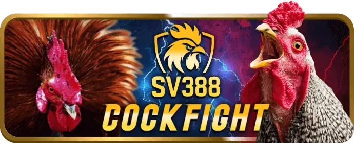 Cá cược quần vợt f66